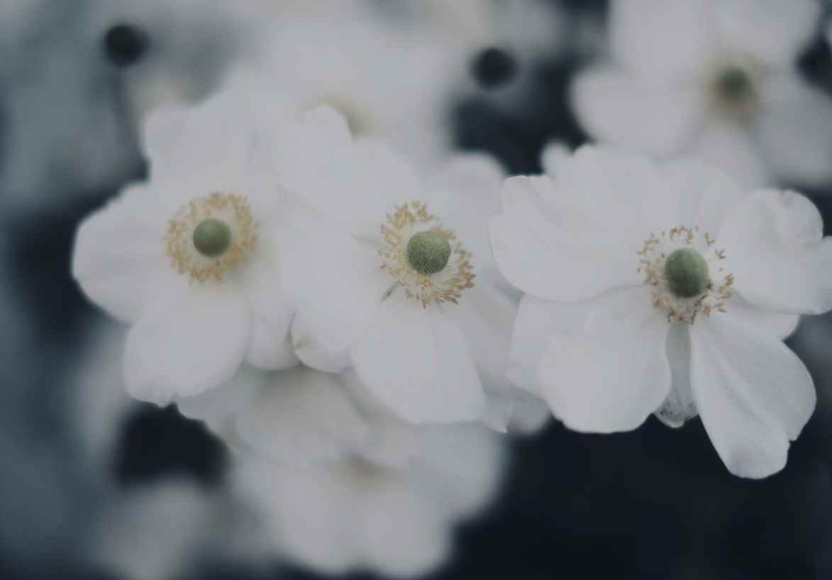 Salutations from GW1947 territory