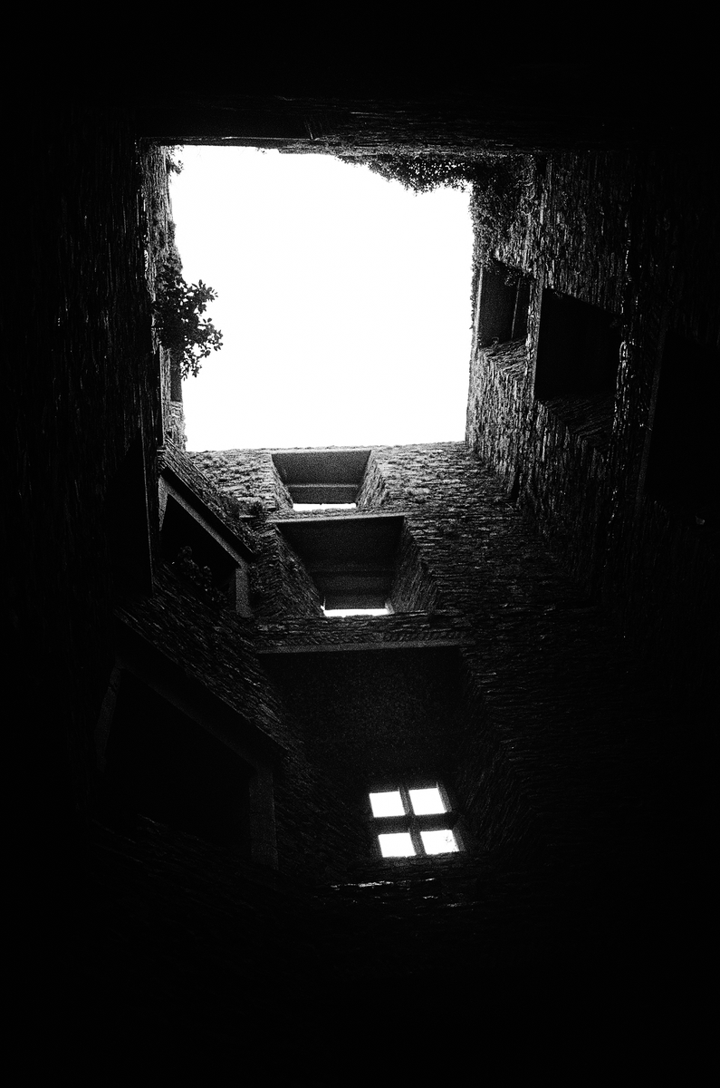 lvlabco's tweet image. Looking up📸

'Ceann Toirc'

opensea.io/collection/lif…