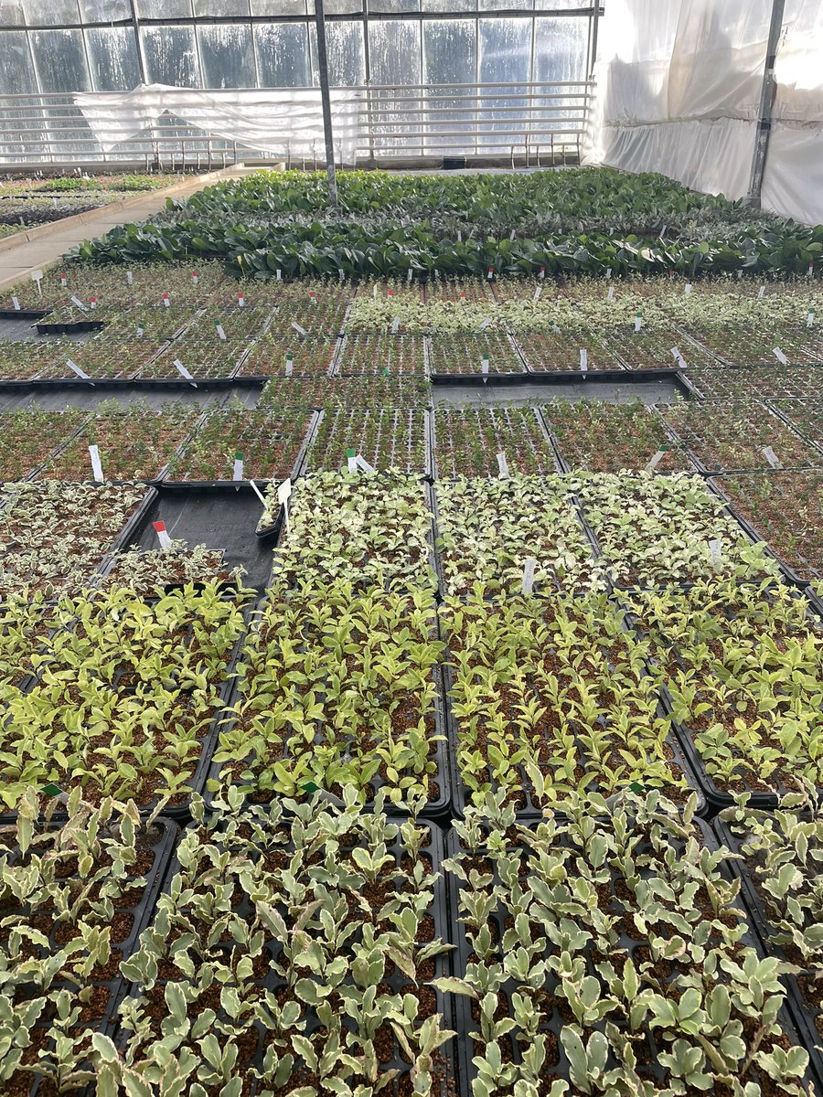 Neil Alcock tweet media