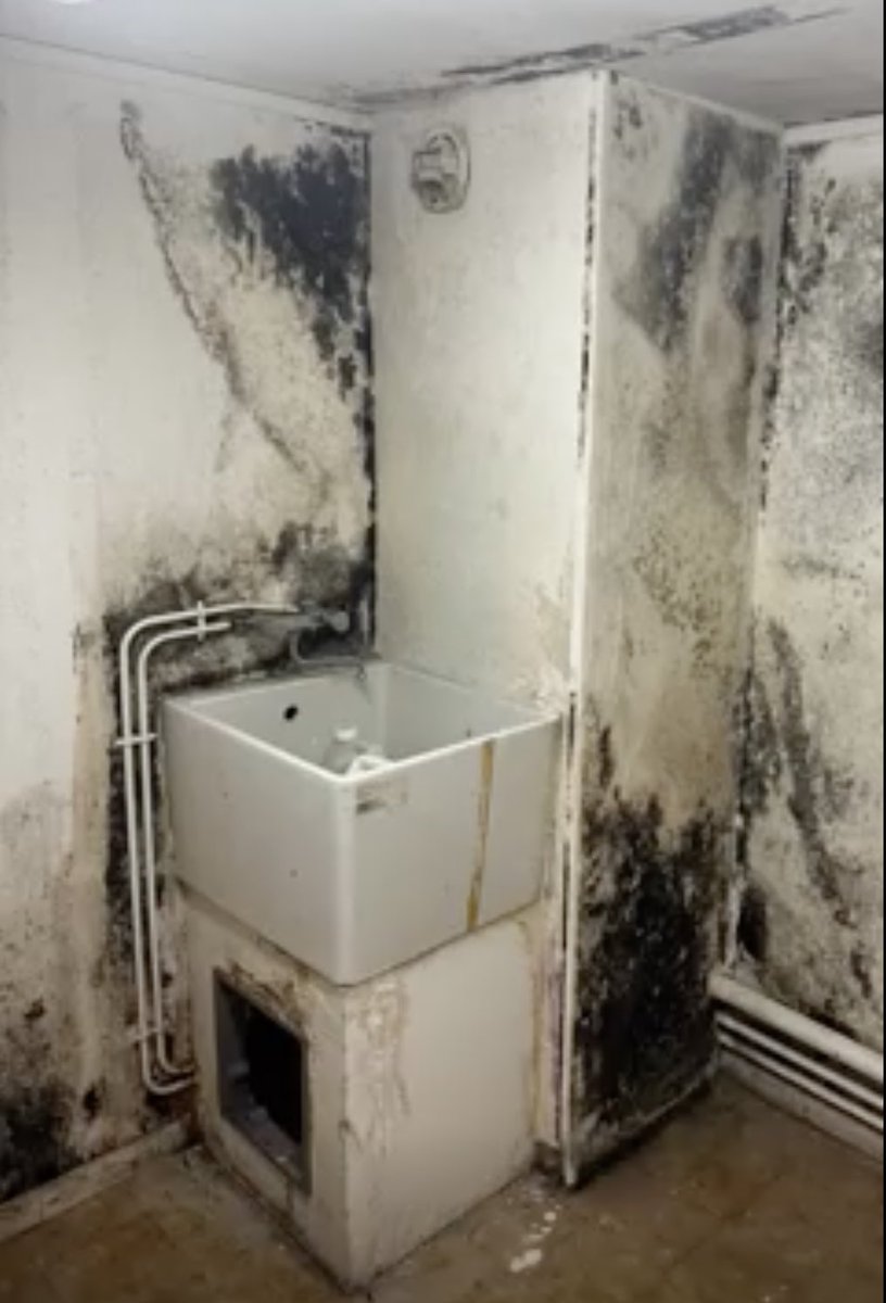 NajibBym's tweet image. A #Amiens, 13 enfants âgés de 12 à 16 ans placés par l'Aide sociale à l'enfance vivent un enfer.

Rats, cafards, punaises de lit, douches sans fenêtres, pas de chauffage, moisissures : les conditions de vie de ces jeunes placés à l'ASE sont indignes et révoltantes.

Comment cela…