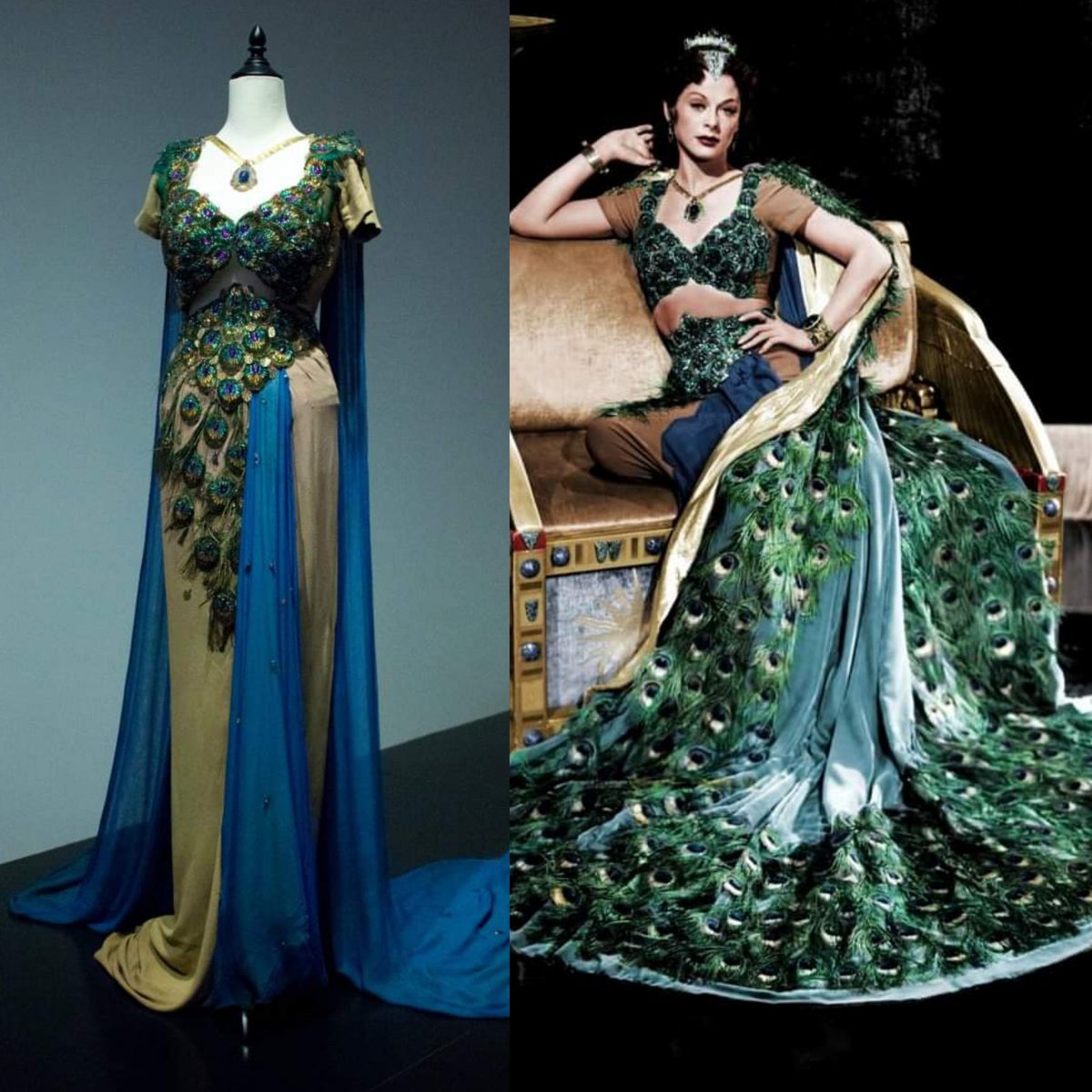 Victoria Haddock tweet media