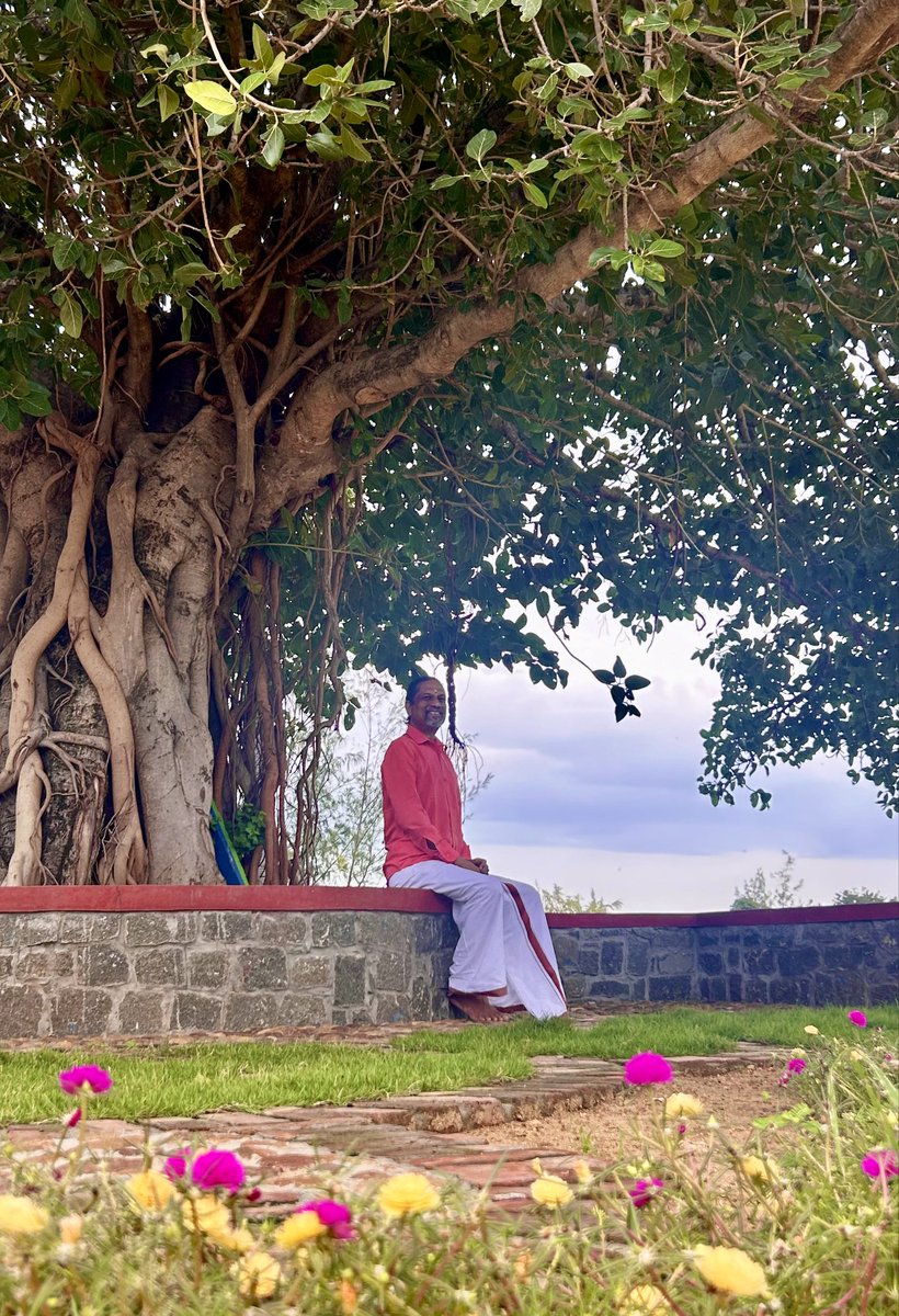 svembu's tweet photo. My favorite Banyan tree. Very "socialist" enjoyment - doesn't contribute to GDP after all 😏 https://t.co/z2U72WkCz6