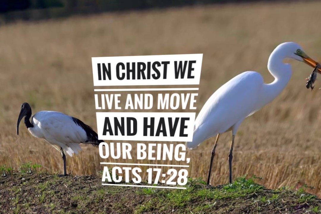 FilippoFurno's tweet photo. In Christ we live and move and have our being ..Acts 17:28 https://t.co/z6FSCZNSJW