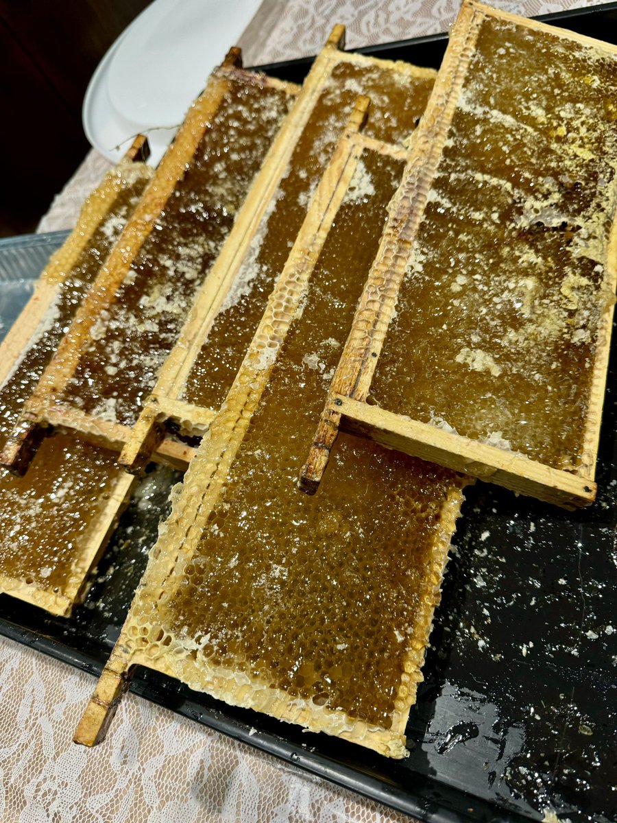 St Matthew & St Luke, Chadderton (@chaddychurch) on Twitter photo 1 A "hive" of activity at St Matthew's this morning as Millbrow Beekeeping Association harvest the honey from their 4 hives! Fascinating to watch Maggs, Gillian, Aiden, Bev and Terry hard at work .
<a href="/ManDioEco/">Diocese of Manchester Eco-Diocese</a> @GraceREThomas 1 A "hive" of activity at St Matthew's this morning as Millbrow Beekeeping Association harvest the honey from their 4 hives! Fascinating to watch Maggs, Gillian, Aiden, Bev and Terry hard at work .
<a href="/ManDioEco/">Diocese of Manchester Eco-Diocese</a> @GraceREThomas