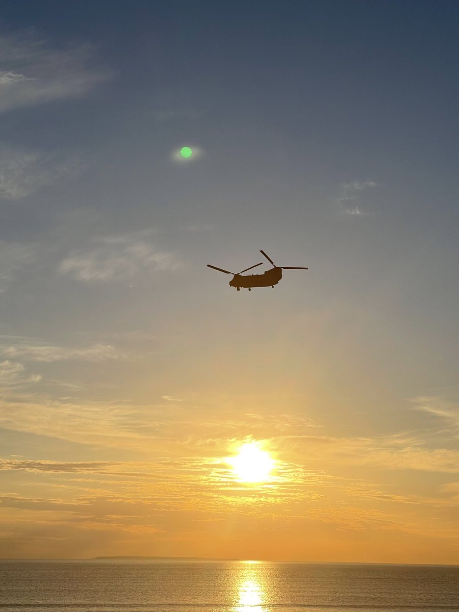 Elizabeth Davis 💙 tweet media