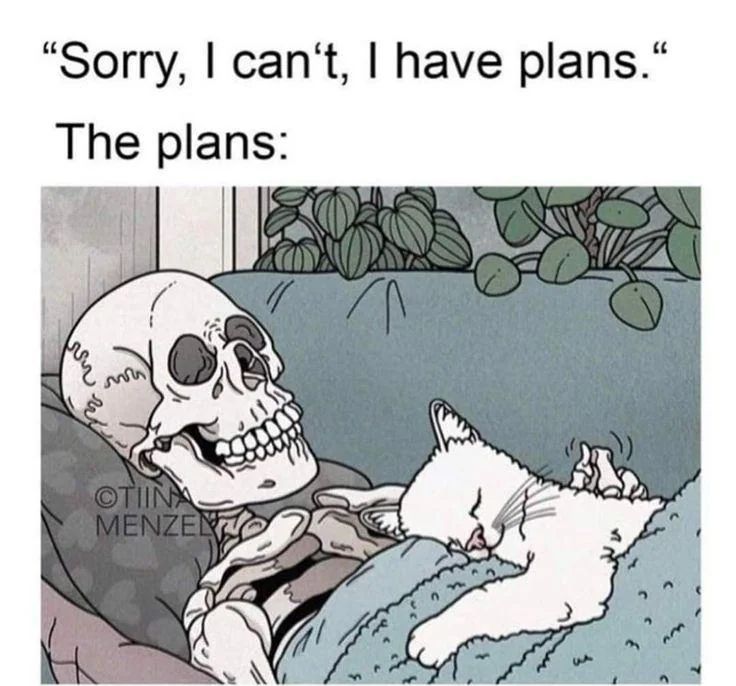 WholesomeMeme's tweet photo. https://t.co/GcHDJVqNbJ