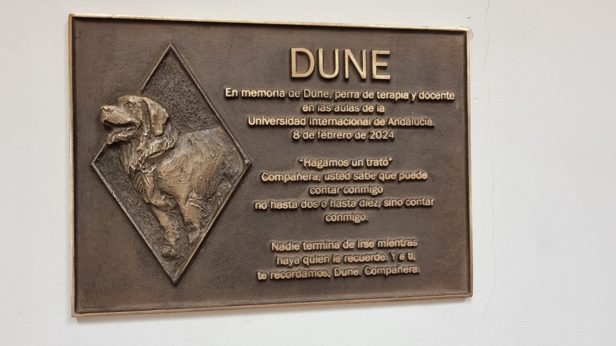 Máster Oficial IAA tweet media