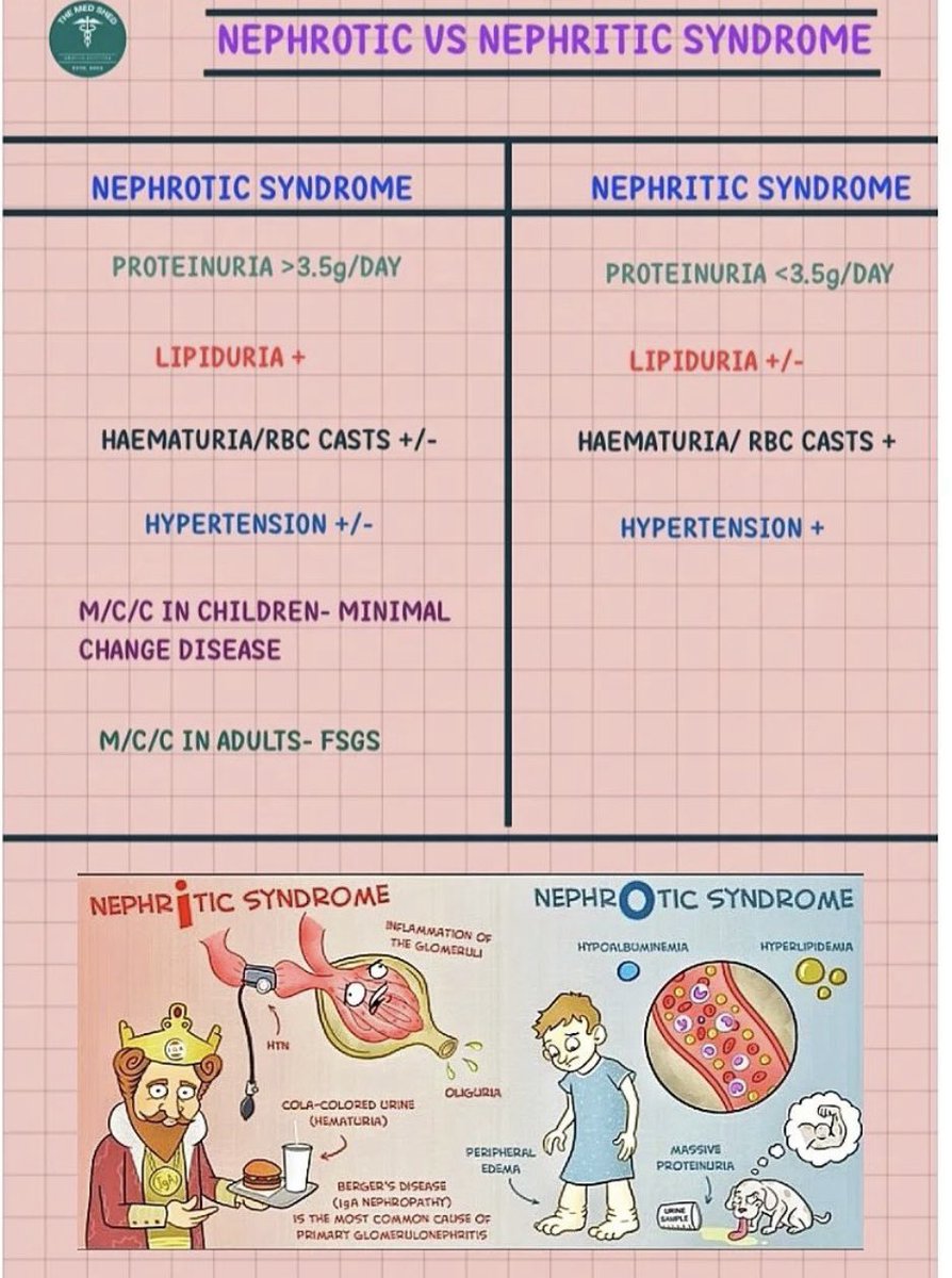 Oren Gottfried, MD tweet media