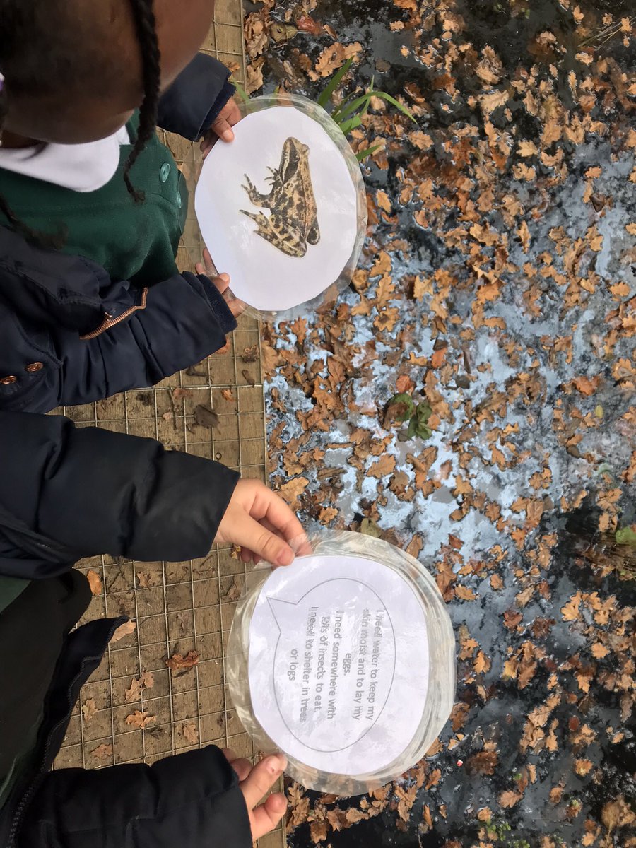 rootstofruitce's tweet photo. Year 1 @WoodhousePA looked at which animal lives in which habitat and why. Winter is on the way so animals are preparing in different ways to cope with the cold 🥶@rootstofruit202 https://t.co/1QSfdjZHTT