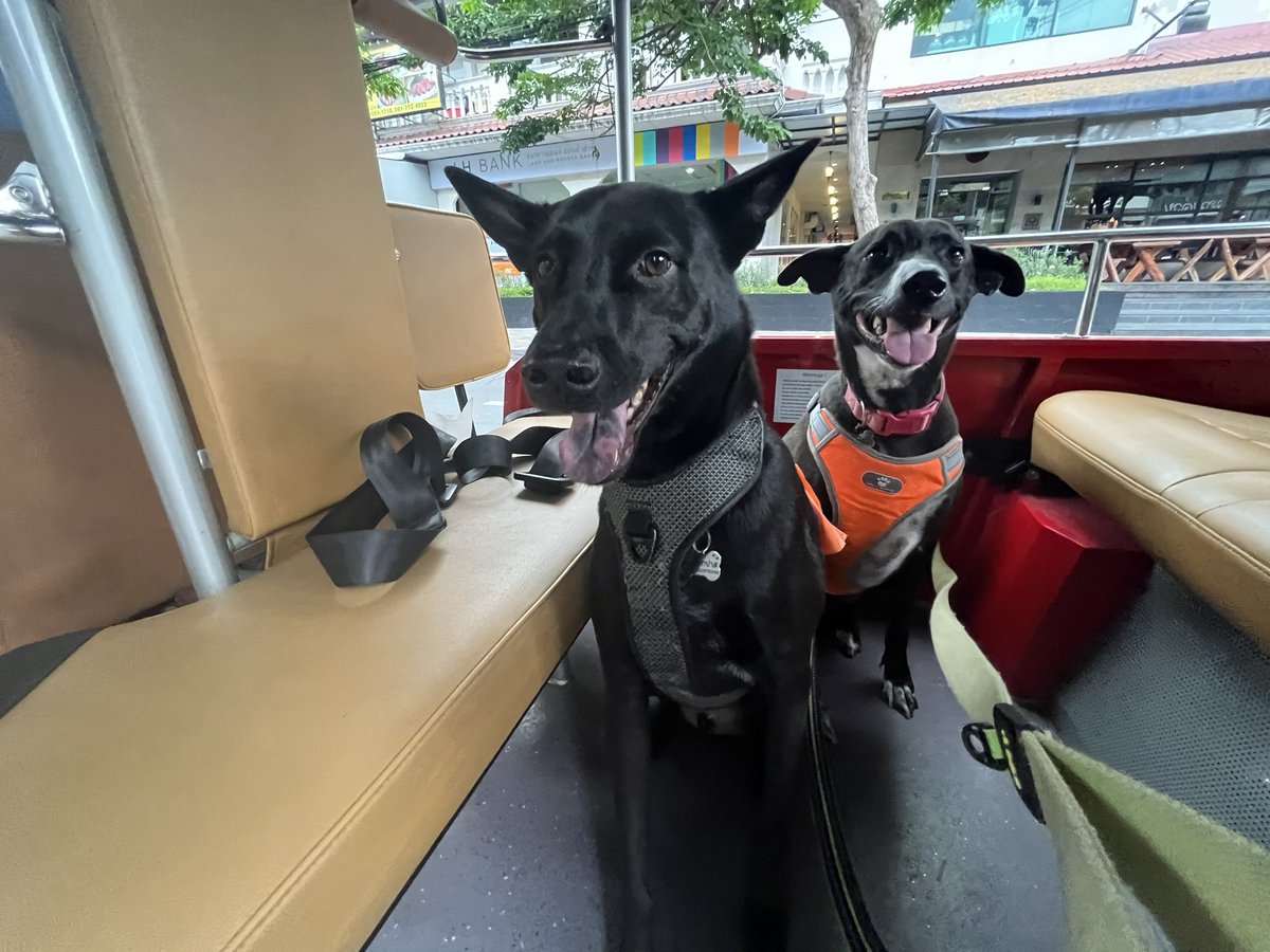 Olive’s first time on MuvMi tuk tuk today. She was a little bit nervous at first but handled it really well 👍