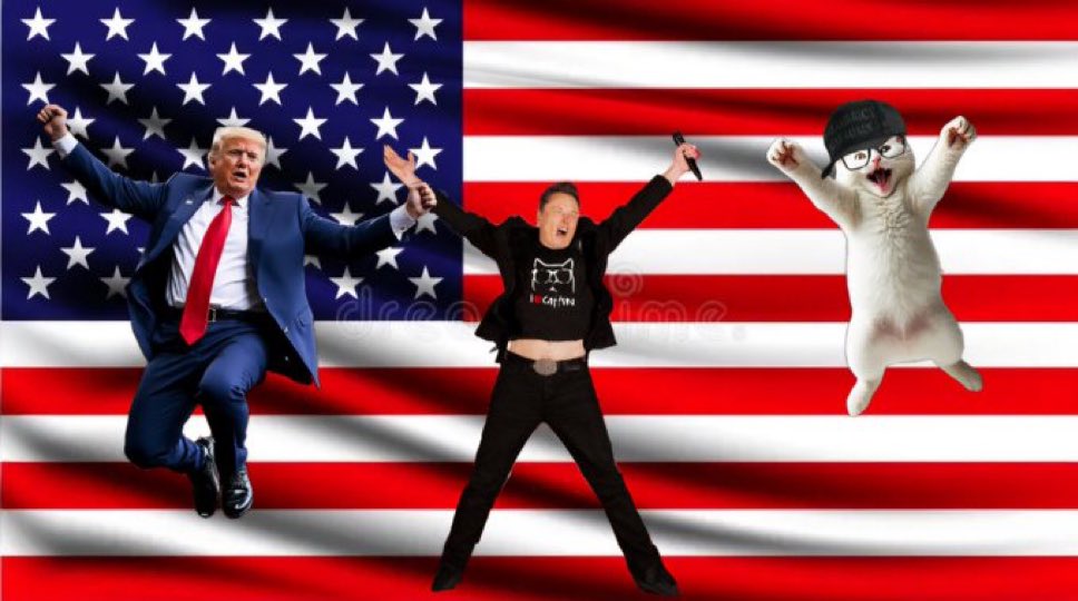 AMcCarthy11's tweet image. 