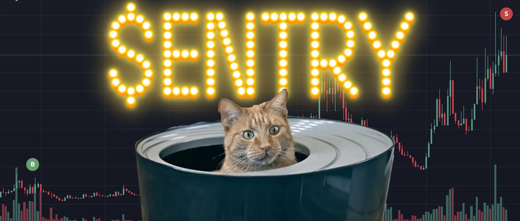 $ENTRY tweet media