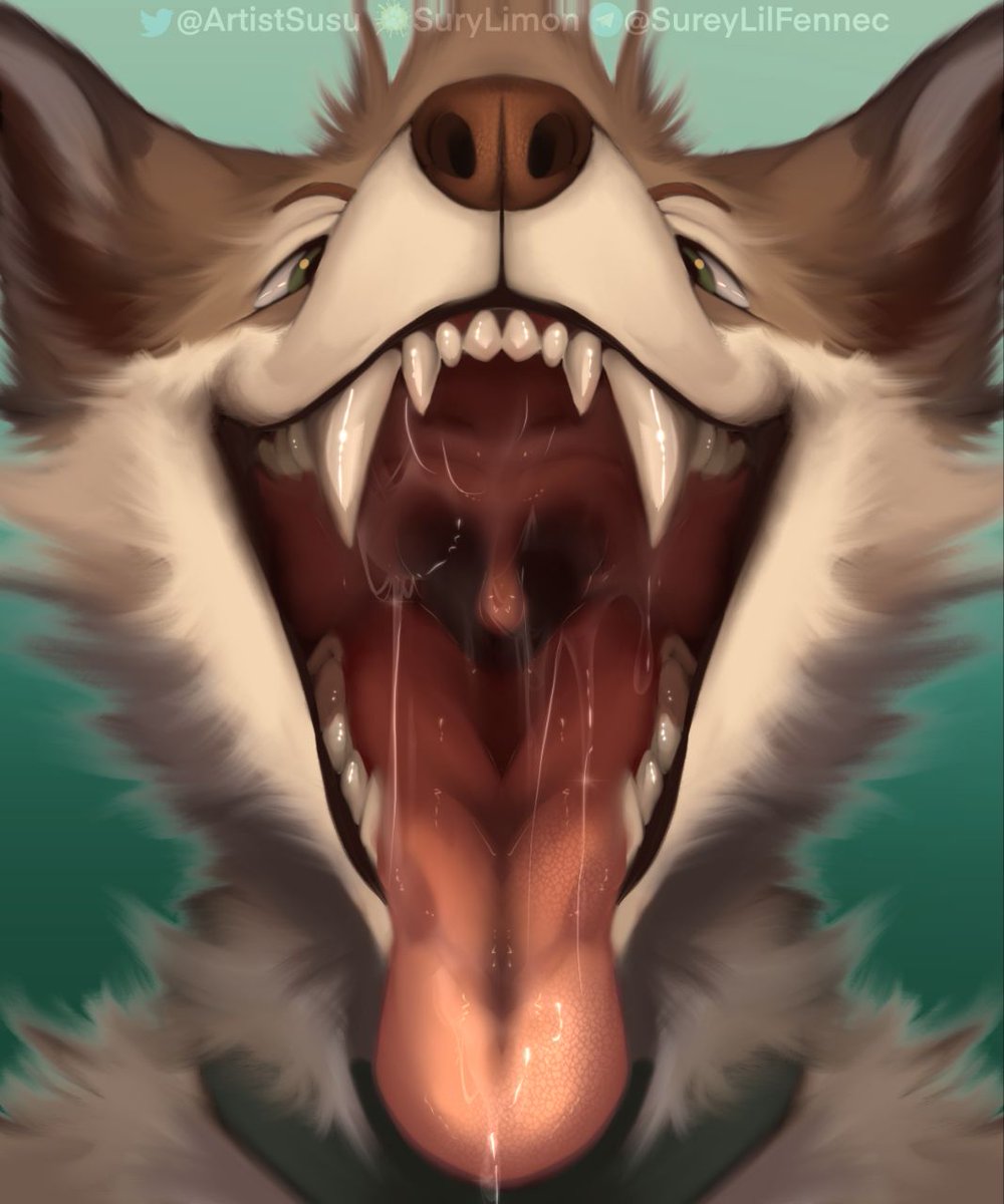 sureymaws.bsky.social 🌟 tweet media