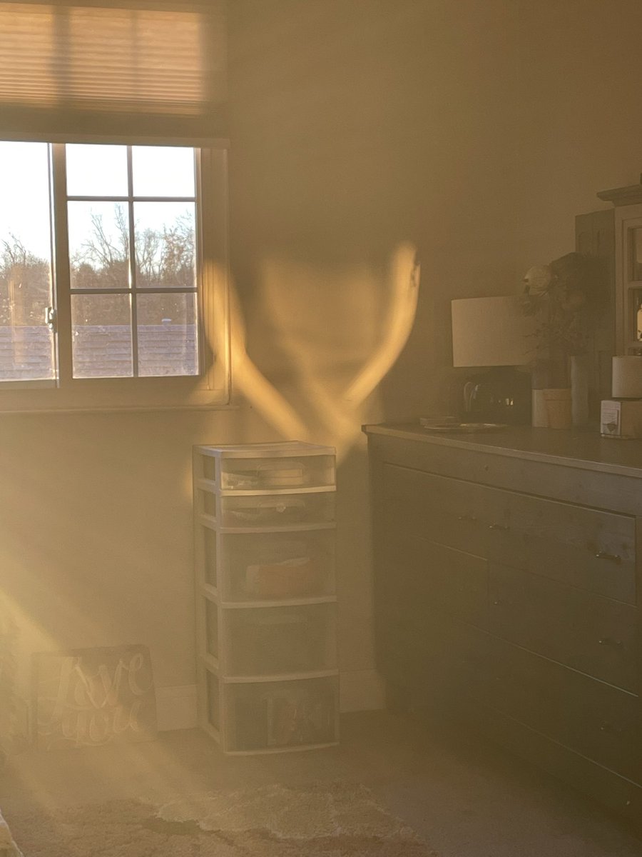 misque703's tweet image. Angel wings 🪽 
I needed to see this today. 
#Angel #Blast of #Sunlight #GoodMorning