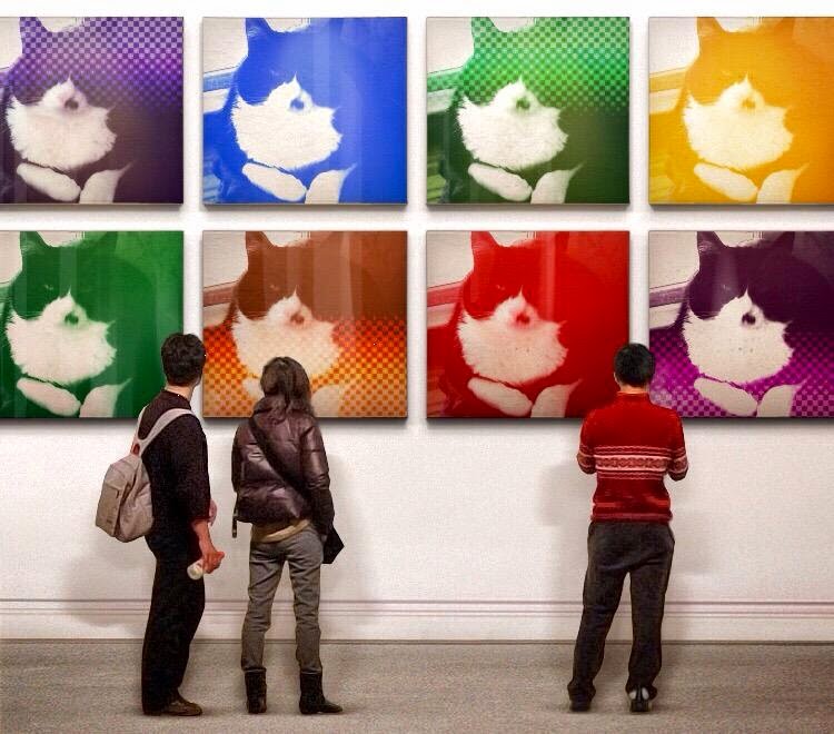 Happy #Caturday from my Modern Art show at da gallery! 🎨 Have a lubly day! ☀️ Lubs yous all TONS! 🐈‍⬛🐾❤️ <a href="/TribeOfMa/">TheTribeOfMa</a> <a href="/Andrea56822453/">❄️🌈Skippy🐈Kevy🐈Badger🐈Sunny🐈Basil🐈Mikey❄️</a> <a href="/catsrule0/">Marie Choo Choo, married to Chalky</a> <a href="/chalkymacalpi/">Chalky Choo Choo, Married To Marie ❤️ 🚂</a> <a href="/CinniMini2/">Angels Cinni, Oreo, and Hydrox</a> <a href="/MightyMolasses/">Mo🐈‍⬛ & Jo👵</a> <a href="/ndcenzo/">Dr Watson RIP & baby brother Sherlock Holmes & mom</a> <a href="/NicaTheCato/">Nica 🖤🤍🖤</a> <a href="/PrimroseTheCat_/">💐Primrose 💐🐾 ☀️</a> <a href="/TuxTedTabbyMag/">Georgene</a> <a href="/paseri021/">Clara:HANA Cat Come</a> <a href="/MitsyTuxCat/">Mitsy TuxCat</a> <a href="/tuxedotrio/">TuxedoTrio</a>