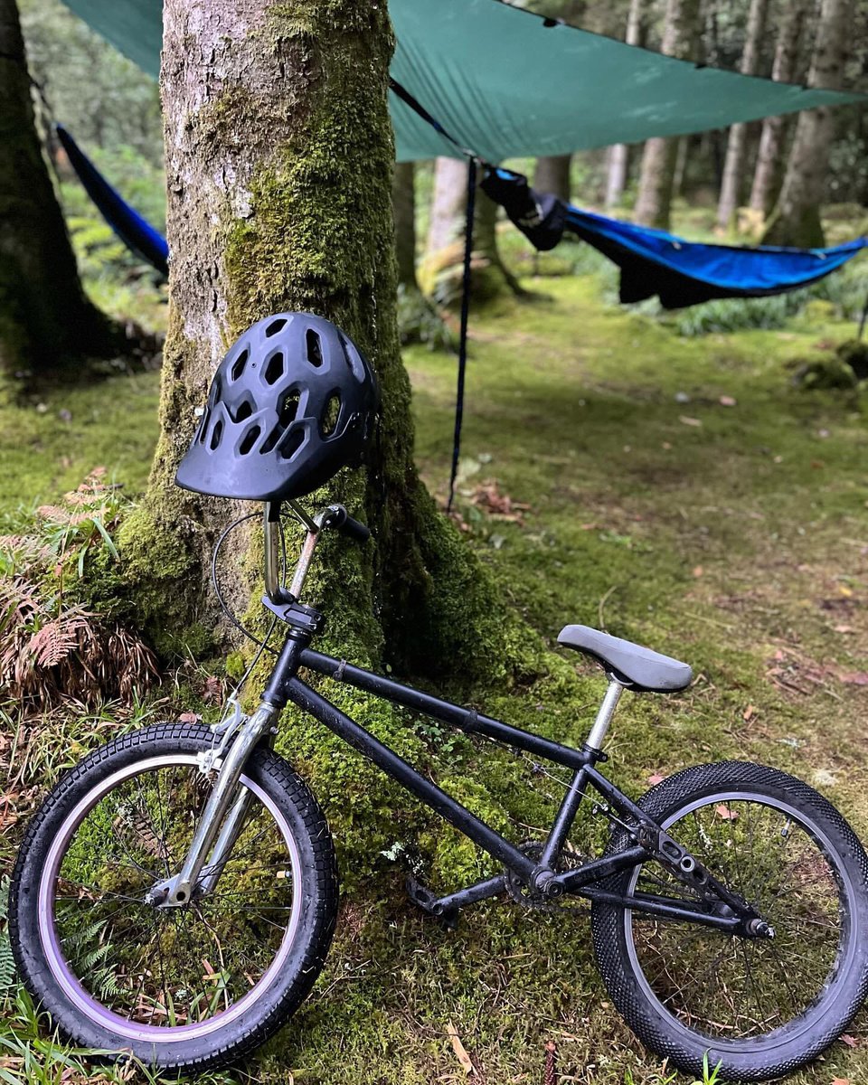 New Wave Adventure tweet media