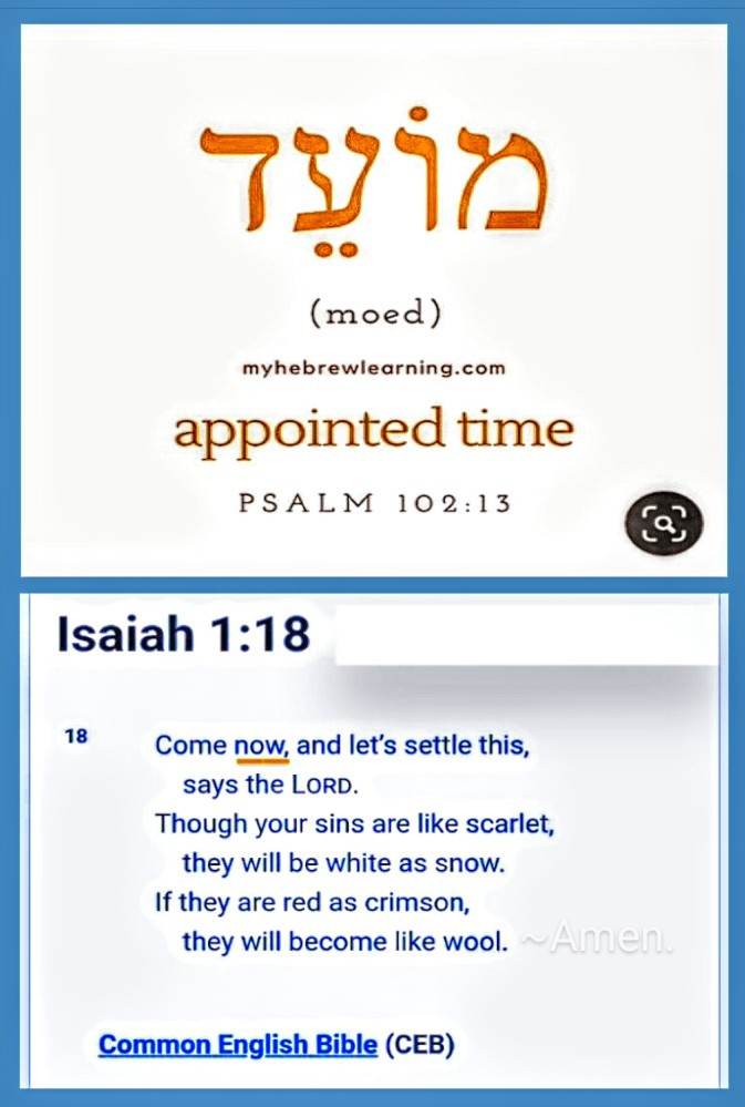 ToyshaD's tweet image. #MorningGloryOfTheLORD🙏
#wow (WordsOfWisdom) #AppointedTime❓️#Now #ComeNow

...and TheLORD said: ⤵️
"#ComeNow, Let’s settle the matter,
Though your sins are like scarlet,
    they will be white as snow.
If they are red as crimson,
    they will become like wool. Alleluia."

🩸