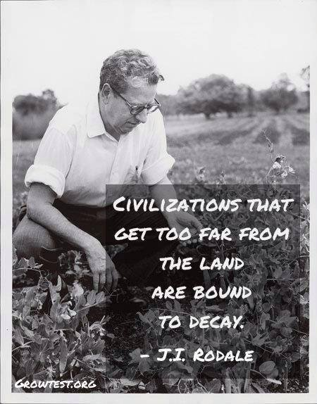 Ruth Glendinning tweet media