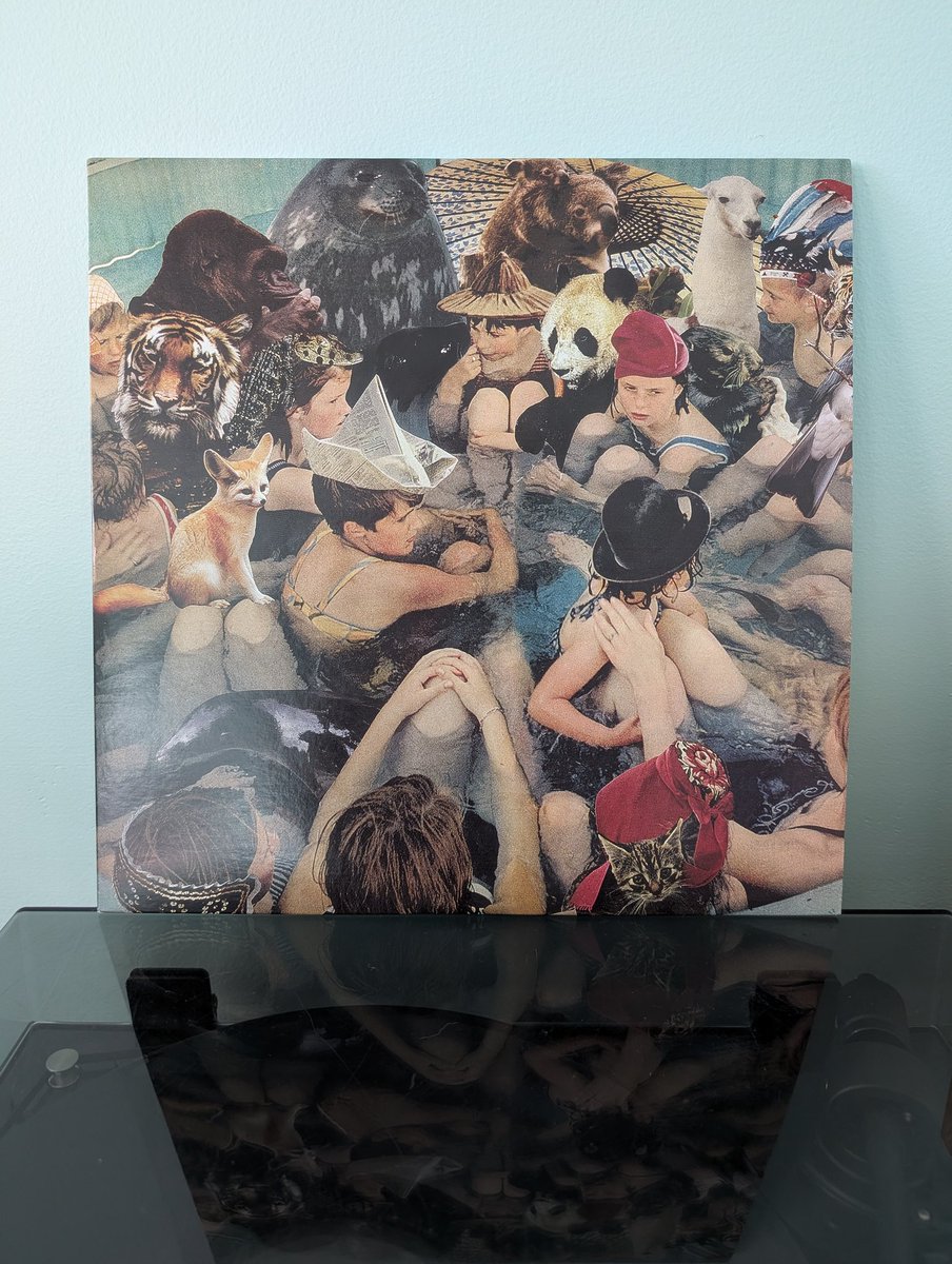 David James 🍩 tweet media