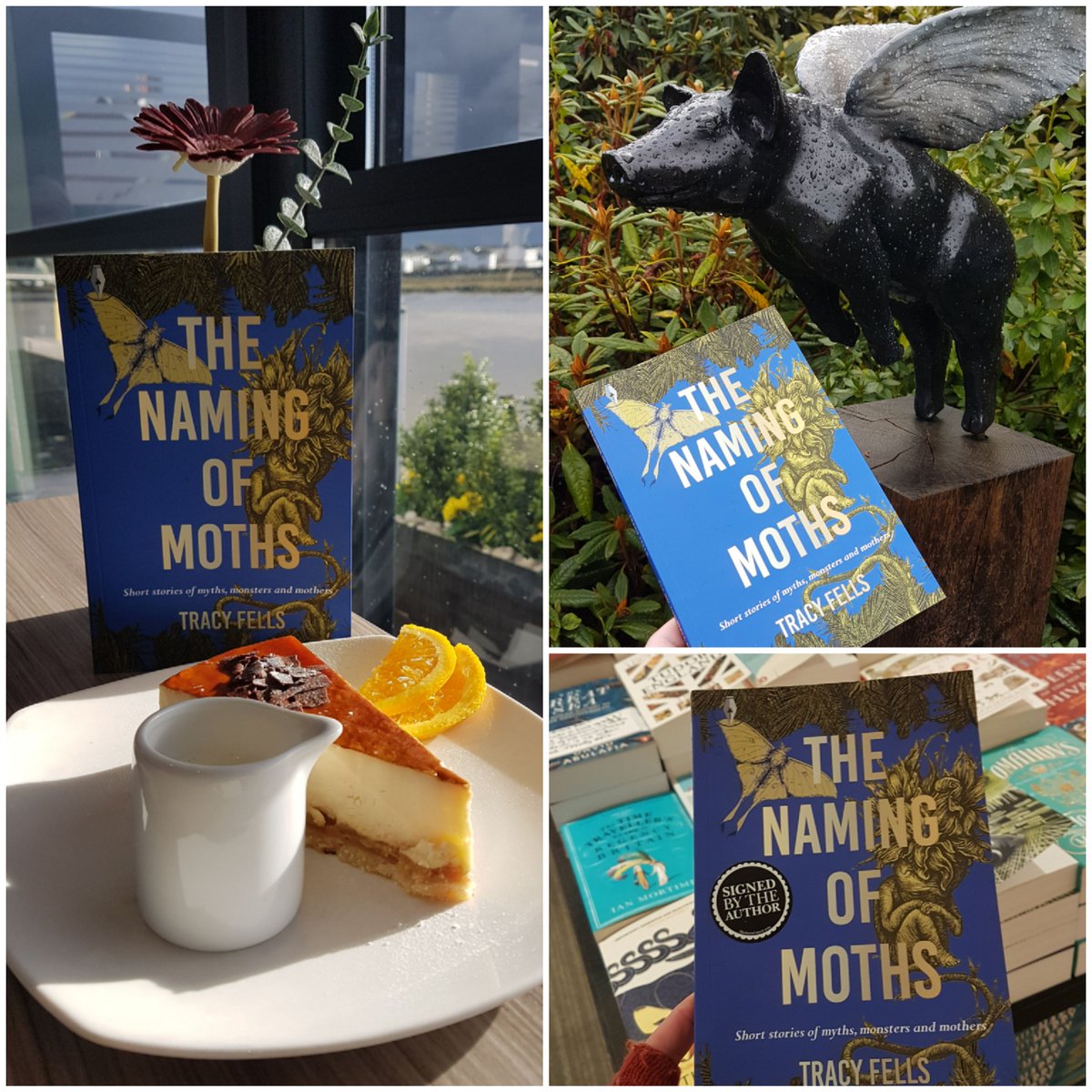 theliterarypig's tweet image. 🎉Happy 1st book birthday🎉to my debut #ShortStory collection #TheNamingOfMoths. Tales of myths, monsters &amp;amp; mothers. Available from award-winning small press @fly_press, #Waterstones, #Amazon  &amp;amp; indie #bookshops in the UK. Or borrow from your local #Library! #MagicRealism