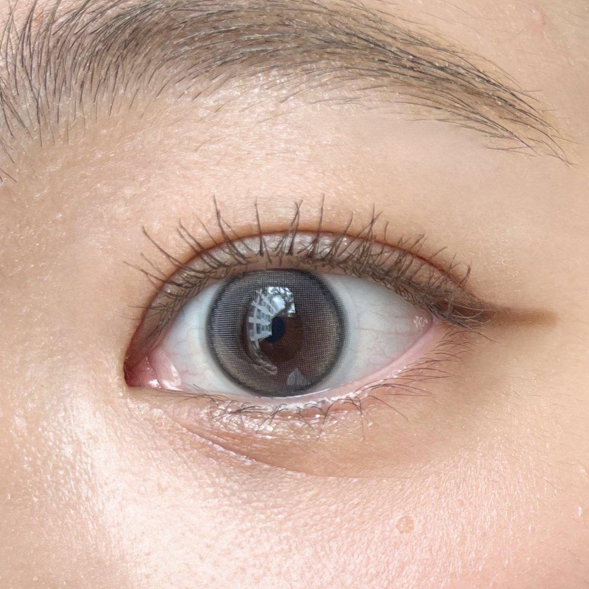lisabubblegummy's tweet photo. #OYOULens
Sugar Donut สี Gray
คอนแทคเลนส์แบรนด์ไทยสีเทาอมน้ำตาล ปกติเราไม่ค่อยใส่สีเทาเลยใส่แล้วไม่ค่อยรอด อันนิเลนส์เทาอมน้ำตาลนิดๆเลนส์ตัดขอบเบลอๆ ใส่แล้วเป็นเทาที่ไม่ดุน้า เลนส์ใหญ่กว่าตานิดนึงใส่แล้วตาแป๋วแหว๋วเป็นลูกแก้วสุดๆ
#รีวิวคอนแทคเลนส์ https://t.co/8hWuRzVtB6
