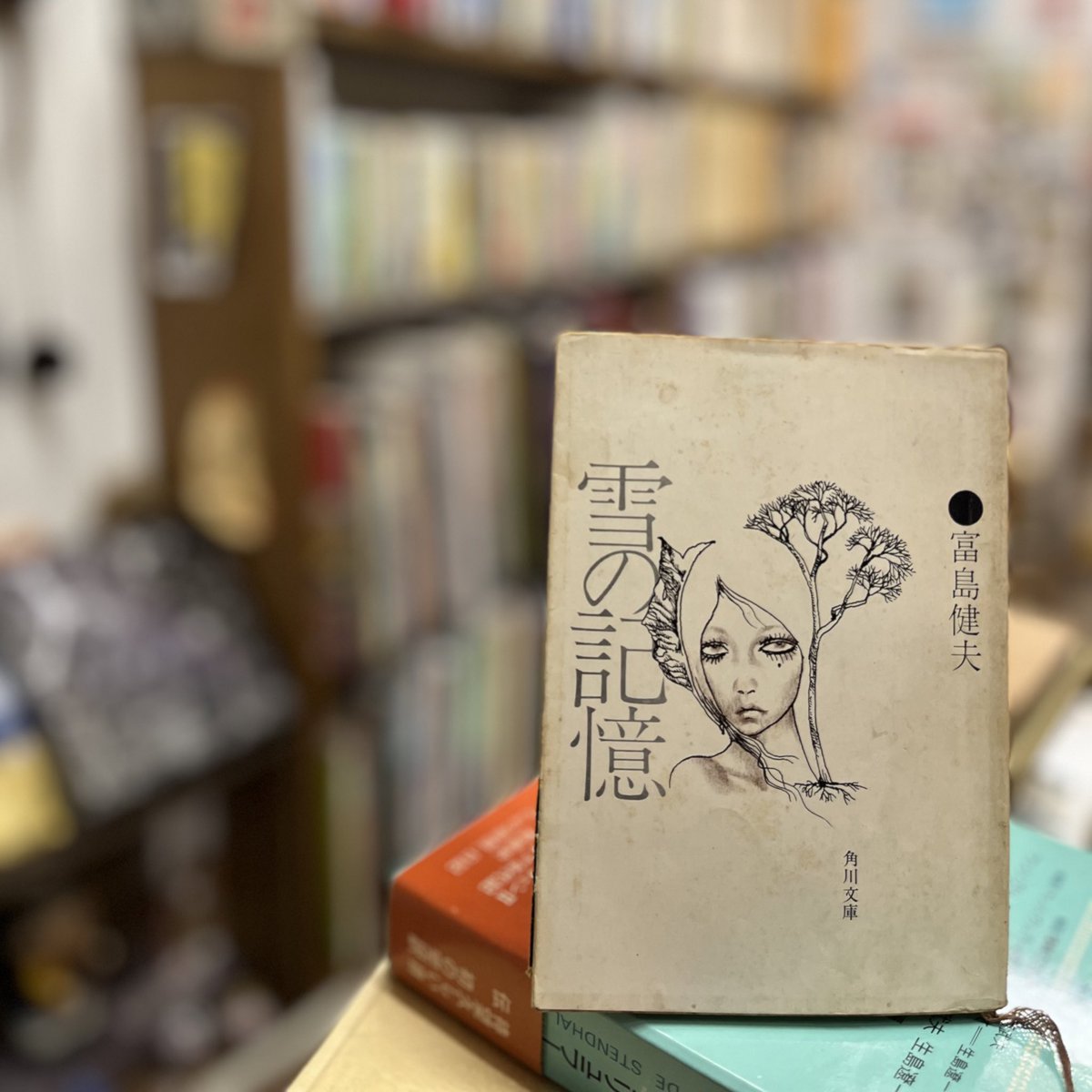 【中古】 人間の部屋 長編官能小説 〔新装版〕/青樹社（文京区）/富島健夫 中古】 人間の部屋 長編官能小説 〔新装版〕/青樹社（文京区）/富島