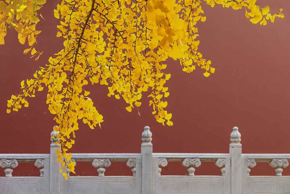 The story of Kennet is just getting started!