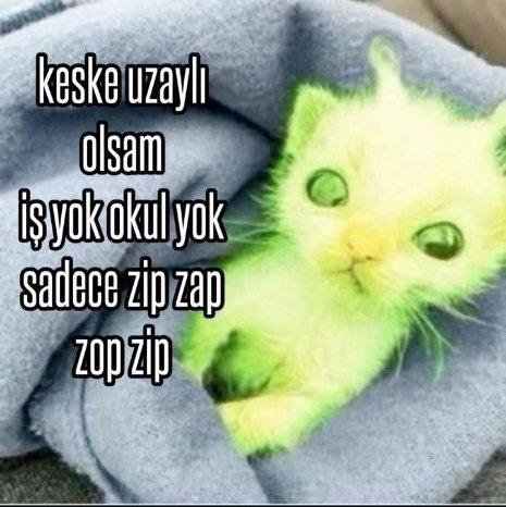 Berat (@berat41517) on Twitter photo 