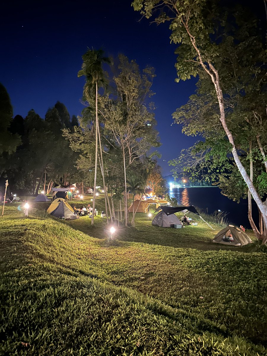 Bom 🏕️ tweet media