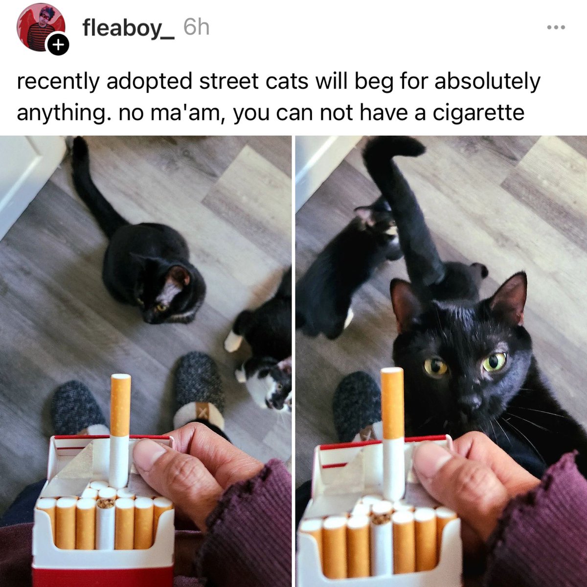 you just gonna make her quit cold turkey??