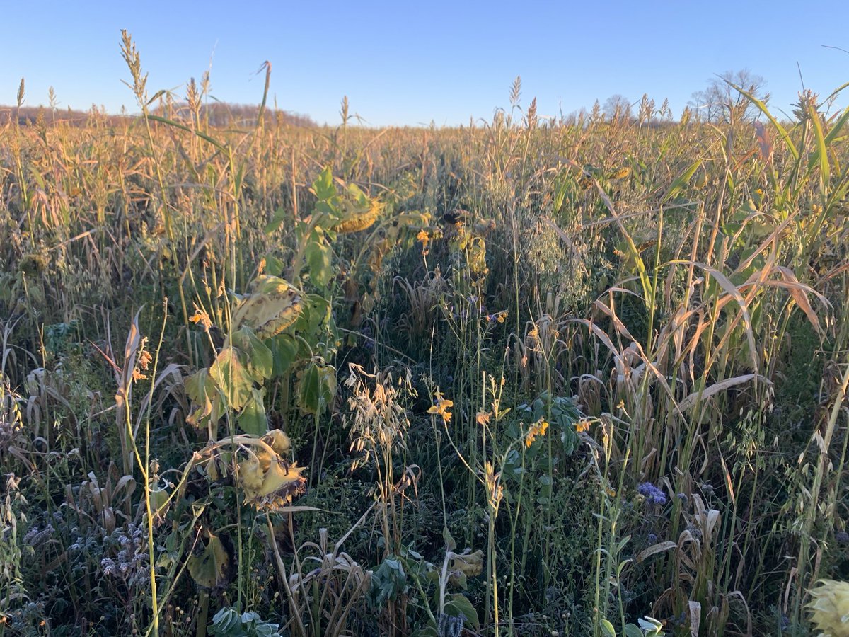 Lawrence Hogan tweet media