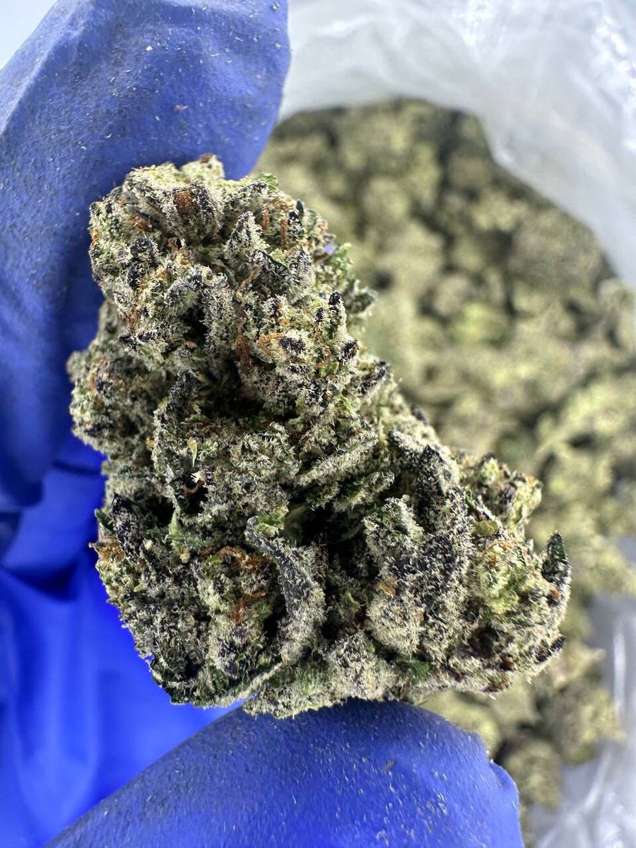 JetBagsx's tweet photo. Tres Leches
Bulk join tele
2 zips 140
Zip 75
Half 45
Quarter 35
#atlplugs #atlplug #atlza #atlweed
#weedtwitter #gayatl #ATLmeetups #Atlfreaks #pluginatl #atlexotics #atlonlyfans #lesbianatl #atlfollowers #eastatlanta #decaturGA #FultonCounty #mobileplug #atlweedman #weedman https://t.co/eKM5r0ot4O