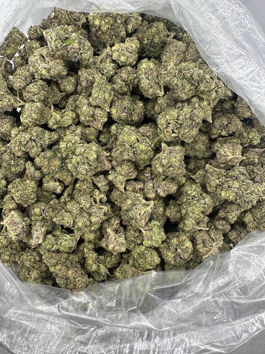 JetBagsx's tweet photo. Tres Leches
Bulk join tele
2 zips 140
Zip 75
Half 45
Quarter 35
#atlplugs #atlplug #atlza #atlweed
#weedtwitter #gayatl #ATLmeetups #Atlfreaks #pluginatl #atlexotics #atlonlyfans #lesbianatl #atlfollowers #eastatlanta #decaturGA #FultonCounty #mobileplug #atlweedman #weedman https://t.co/eKM5r0ot4O