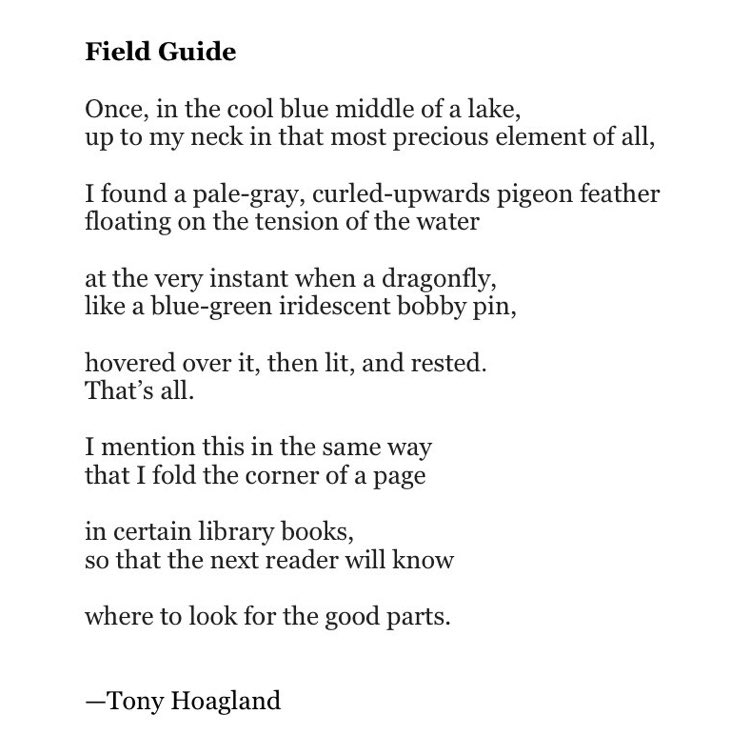 Today's Poetry Thread: REJUVENATION

This little poem quite often keeps me sane. Feel free to add poems.