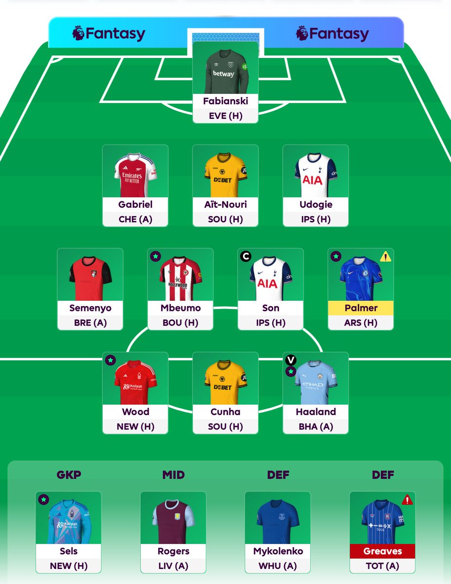 FPL Link (Dan) tweet media