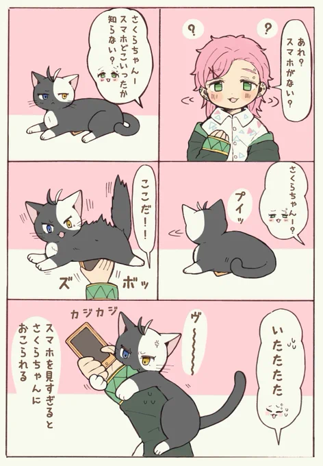 スマホに嫉妬する🌸にゃん
きりゅさく
※擬獣化
※獣化注意 