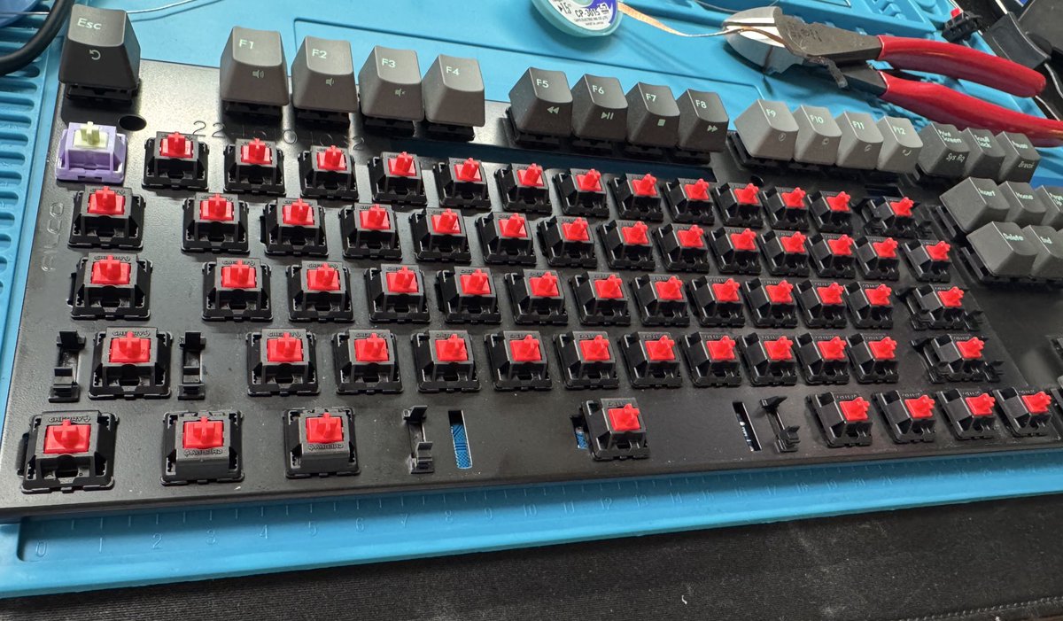 ygiants's tweet photo. Majestouch Convertible3 にヒ���シンスを生やす🪻

HMX Sillyworks Hyacinth V2 https://t.co/5mV9xVFRnj