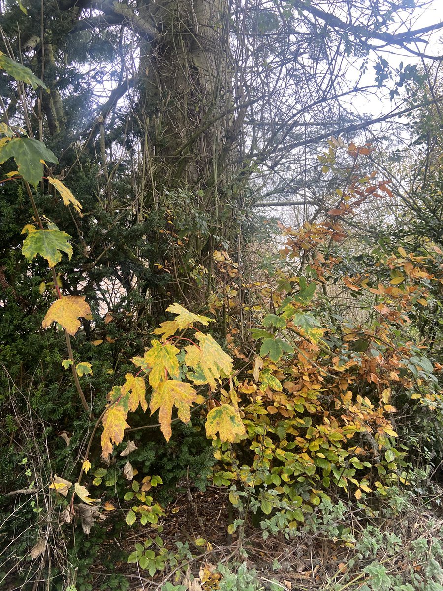 Gemma Burns tweet media