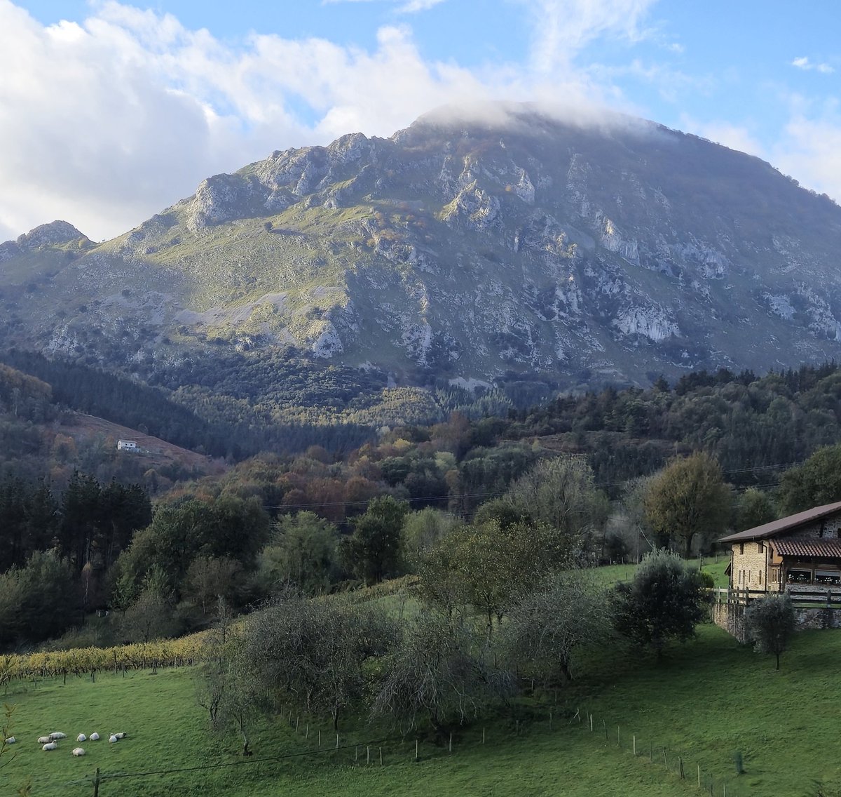 euskalsouvenirs's tweet photo. Mugarra mendia, Bizkaia.
#mugarra #bizkaia
@i_Euskadi @Euskalmet https://t.co/SULgmv9yPg