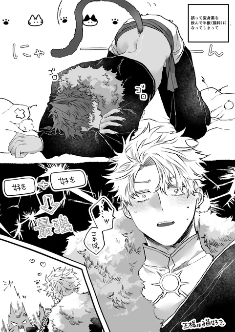 #創作BL
 #下っ端エルフは腹黒王様のおもちゃ 

『再掲』 