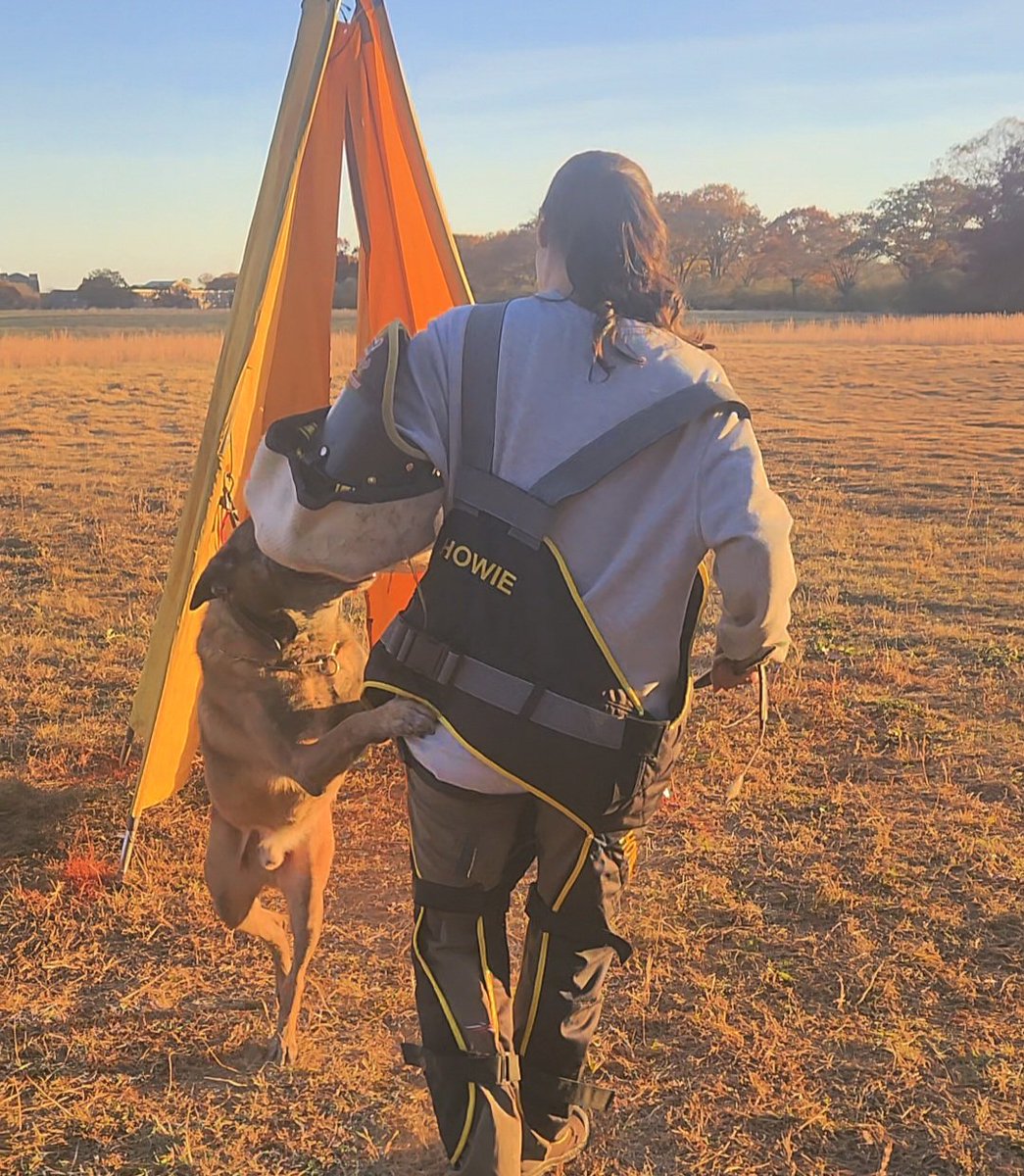 XSinclair's tweet image. Sometimes I forget how blessed I am to have a fiance who is happy to spend every Sunday in a field for 7 hours filming a bunch of dogs training so we can all get better and also get cool shots of me taking bites from malinois like this