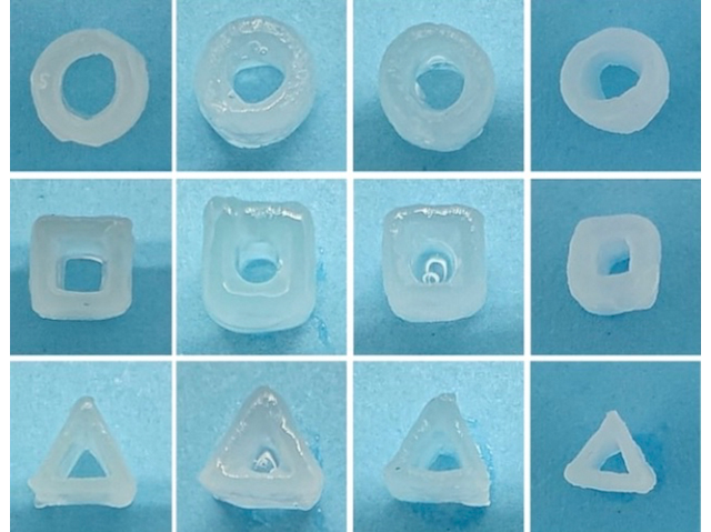 3D printed scaffolds for oral delivery of effective probiotics 

📷: Yue Zhang et al, Soochow University, Suzhou, China in <a href="/ScienceAdvances/">Science Advances</a> 
➡️: bpod.org.uk/archive/2024/1… with <a href="/DrJohnAnkers/">John Ankers</a>