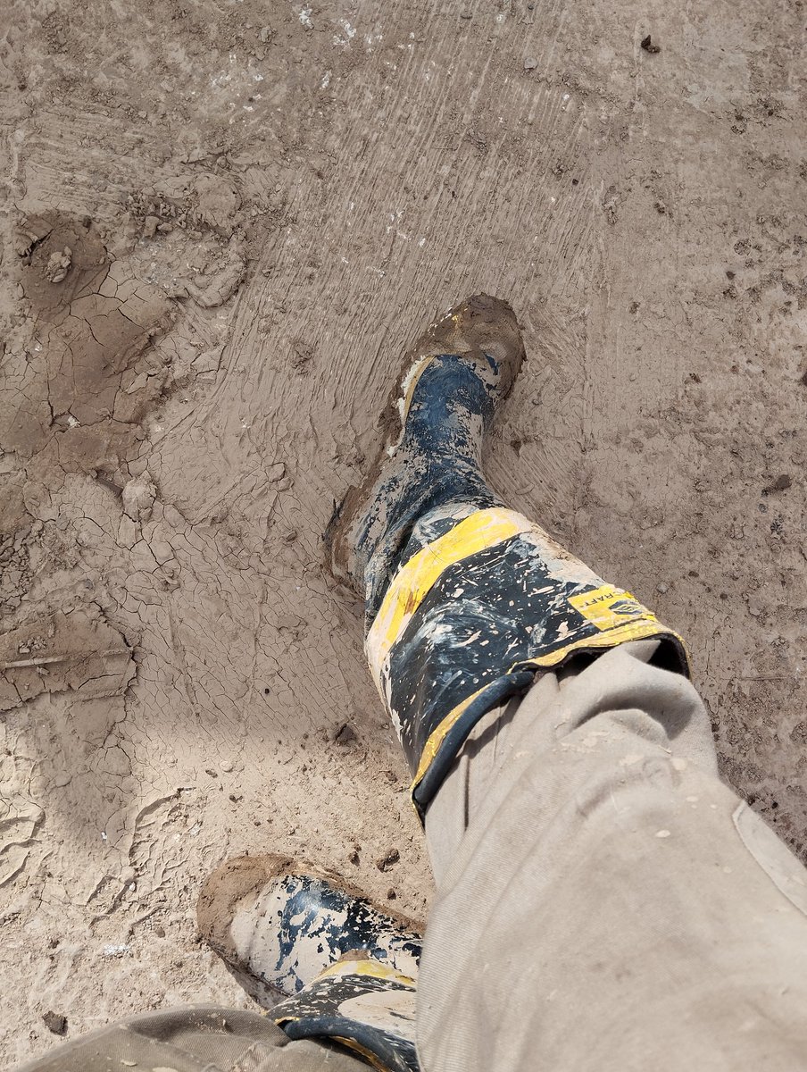 !!Seguimos!! Vamos Valencia!