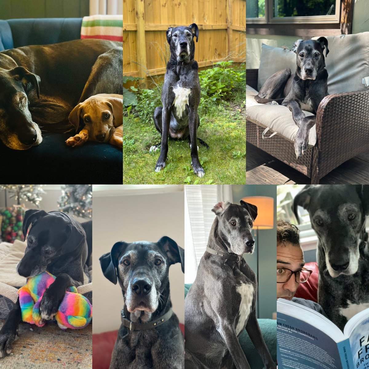 Christopher Ali tweet media