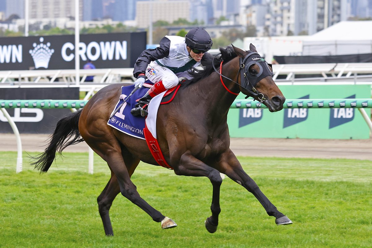 BH_AEberhardt's tweet image. Champion Stakes day at @FlemingtonVRC Carnival. Winners inc. #SunshineinParis (JMcDonald) in G1 Darley Champions Sprint; #MrBrightside (CWilliams) in the G1 VRC Champions Mile;  #ViaSistena (JMcDonald) in G1 TAB Champions Stakes. Congrats to all connections. #MarkGattPhotos
