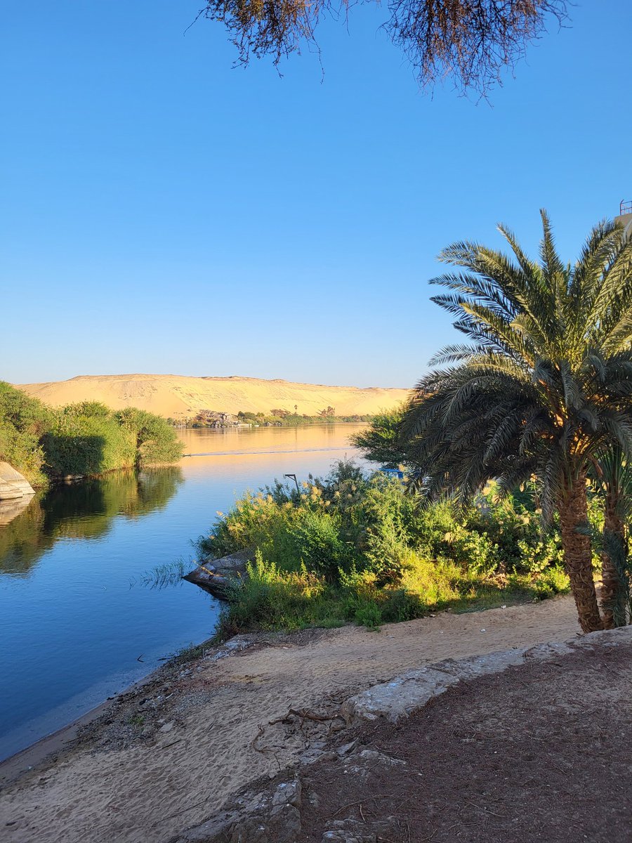 Valentin Boyer 𓀀 tweet media