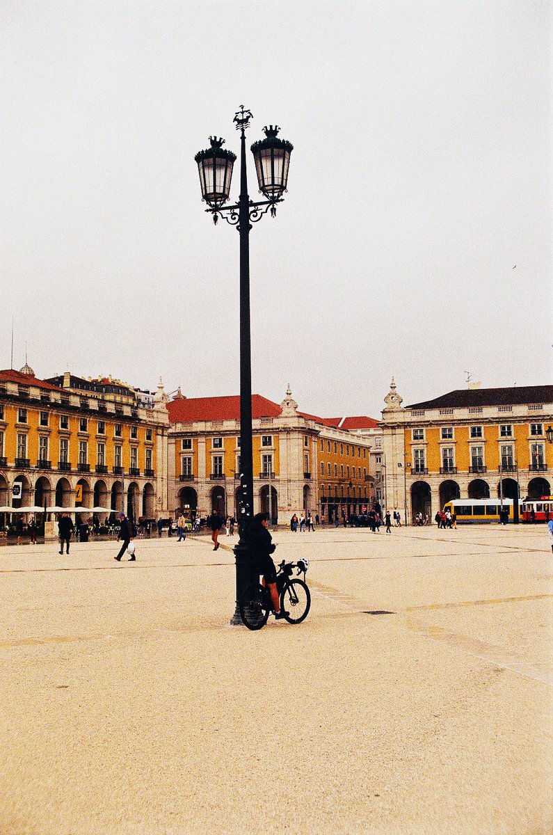 lvlabco's tweet image. Post a photo with yellow in it.

'Waiting'