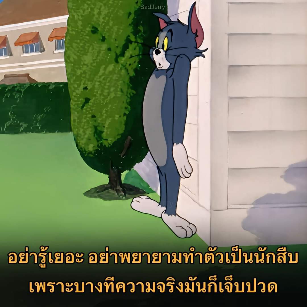 Cplus2020's tweet image. 