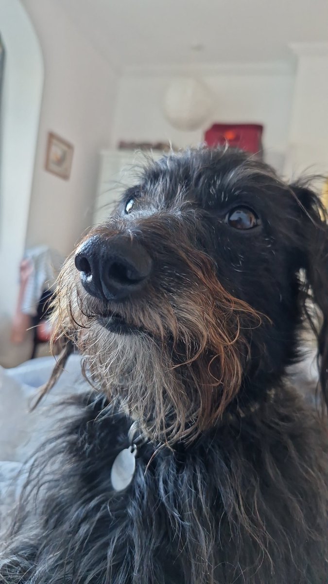 Anna Norman-Walker tweet media