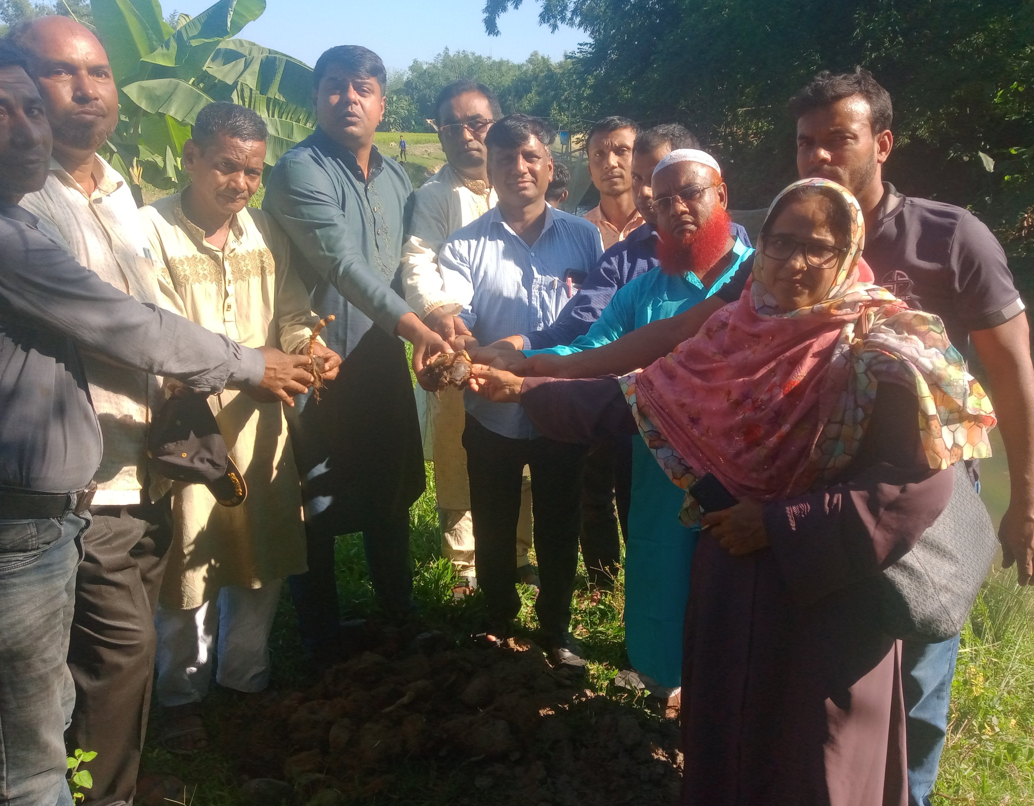 ঠাকুরগাঁও গড়েয়ায় বজ্রপাত থেকে রক্ষায় তালবীজ রোপণ